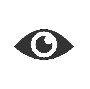 toggle password visibility